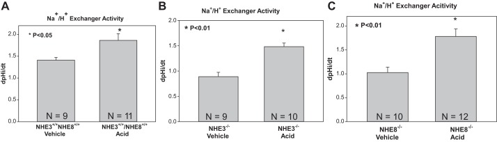 Fig. 8.