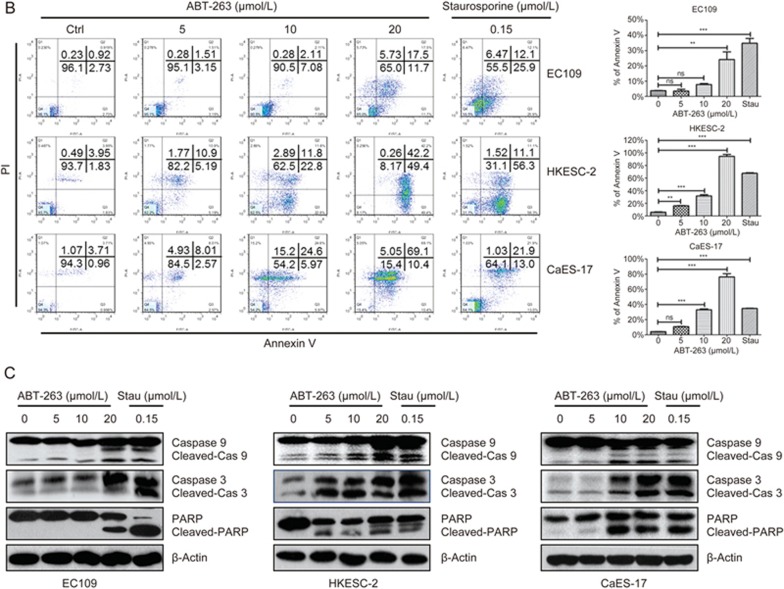 Figure 2B 2C