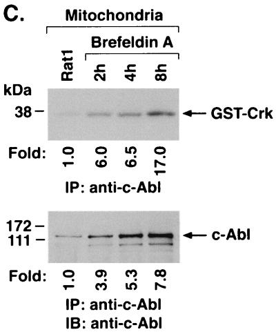 FIG. 6