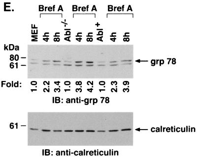 FIG. 7