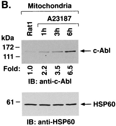 FIG. 5