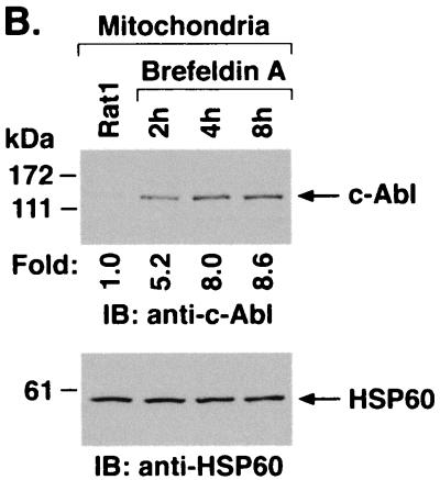 FIG. 6