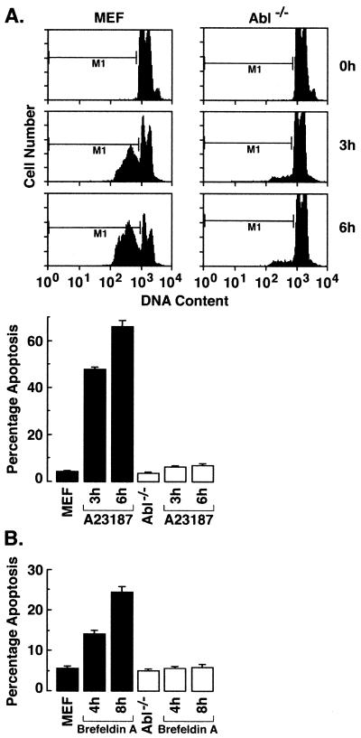 FIG. 8