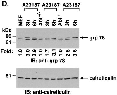 FIG. 7