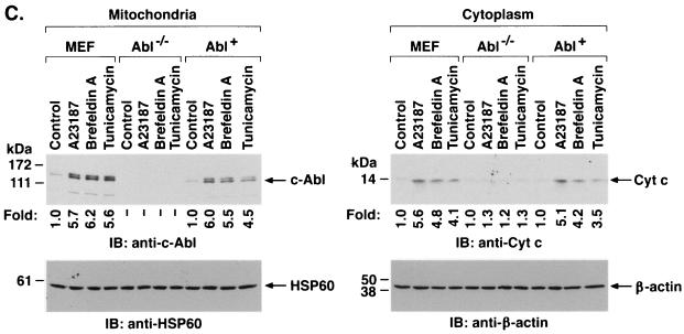 FIG. 7