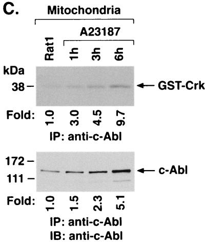 FIG. 5