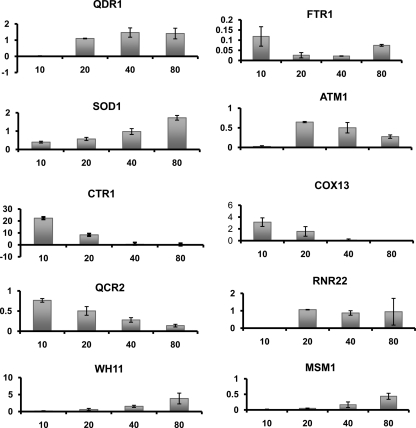 Fig 3