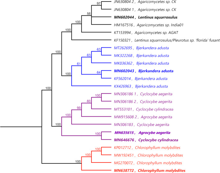 Fig. 4