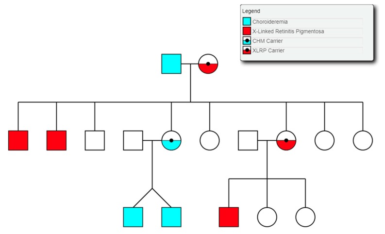 Figure 12