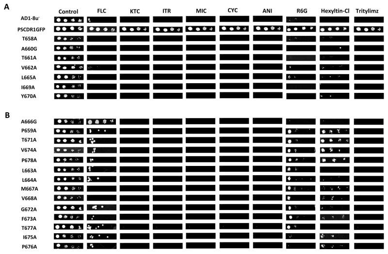 Figure 2