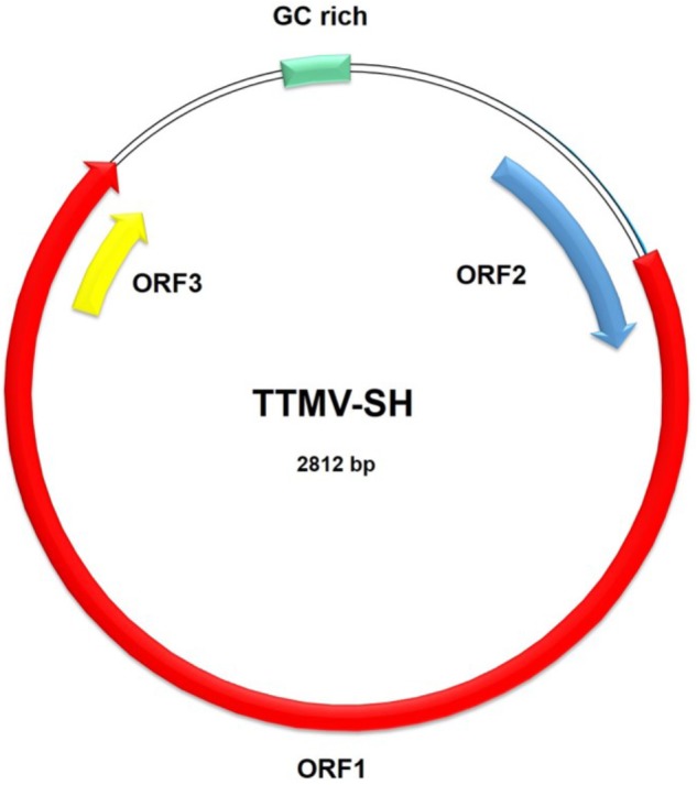 FIGURE 2