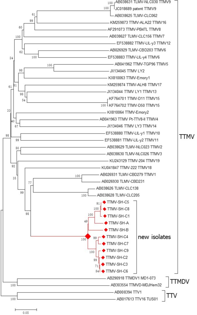 FIGURE 3