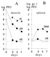 FIG. 6