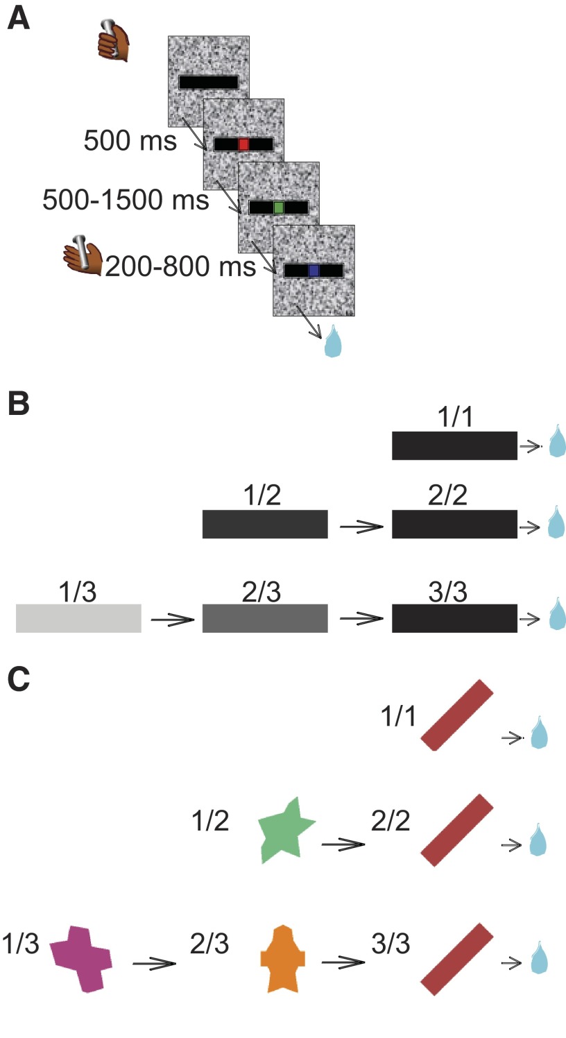 FIG. 1.