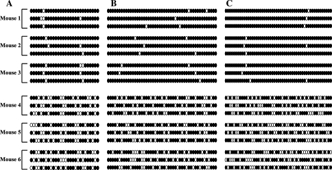 Fig. 9