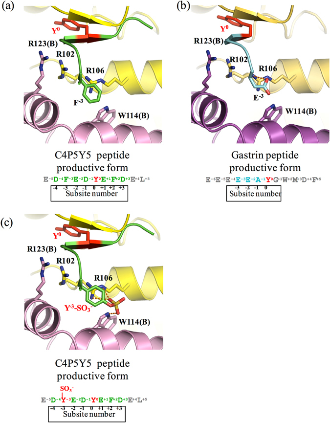 Figure 5