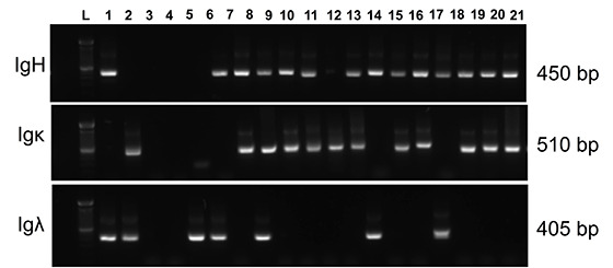 Figure 2.