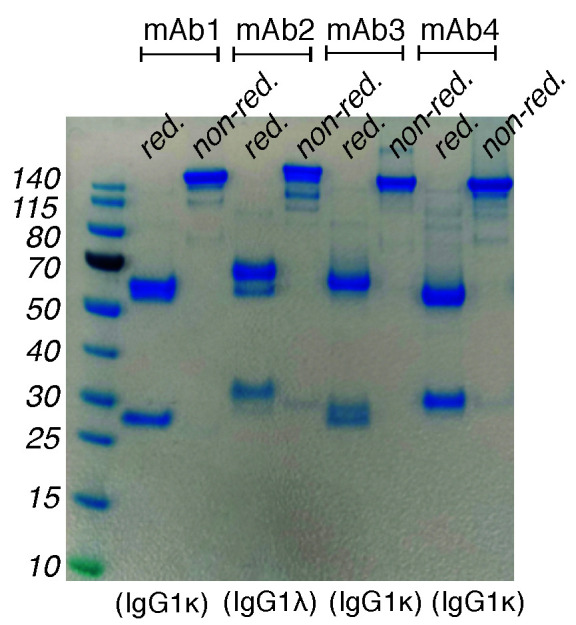 Figure 7.