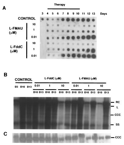 FIG. 5