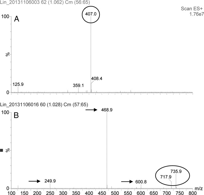 FIG 3