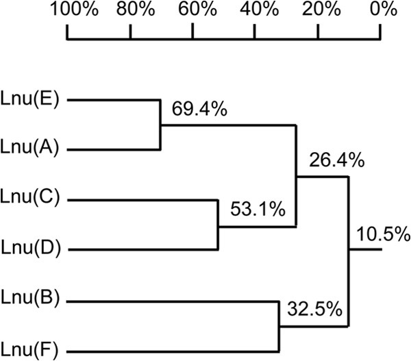 FIG 2