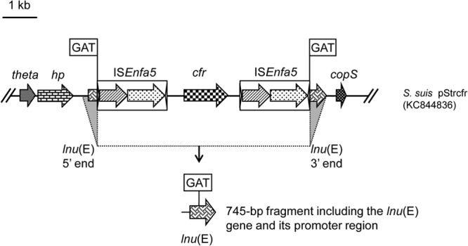 FIG 1