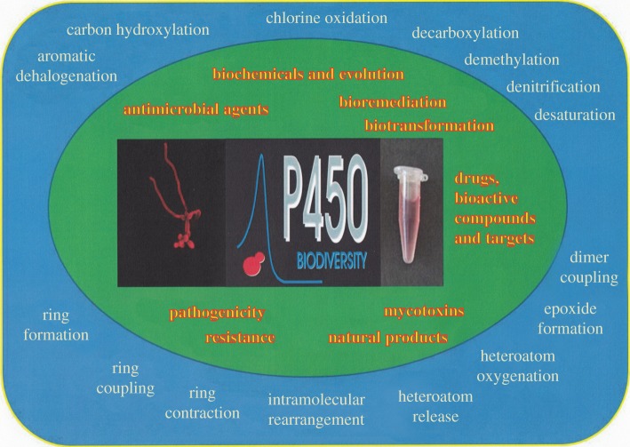 Figure 1.