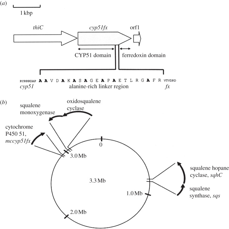 Figure 2.