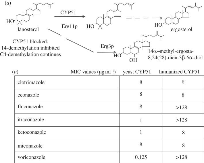 Figure 6.