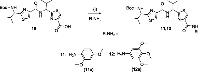 Scheme 3