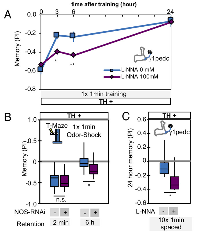 Figure 6—figure supplement 1.