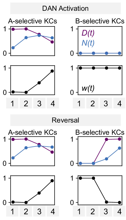 Figure 8—figure supplement 1.