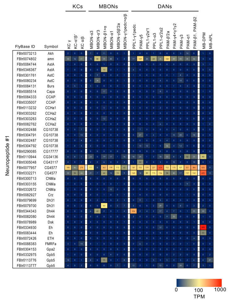 Figure 3—figure supplement 7.