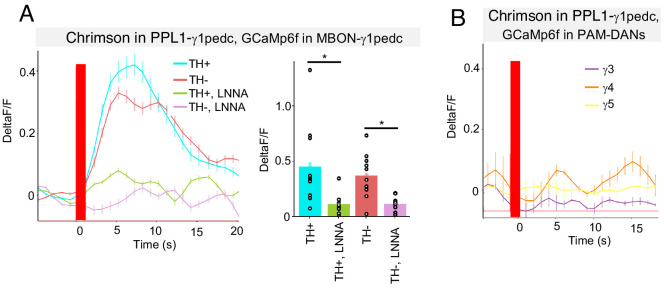 Figure 5—figure supplement 2.