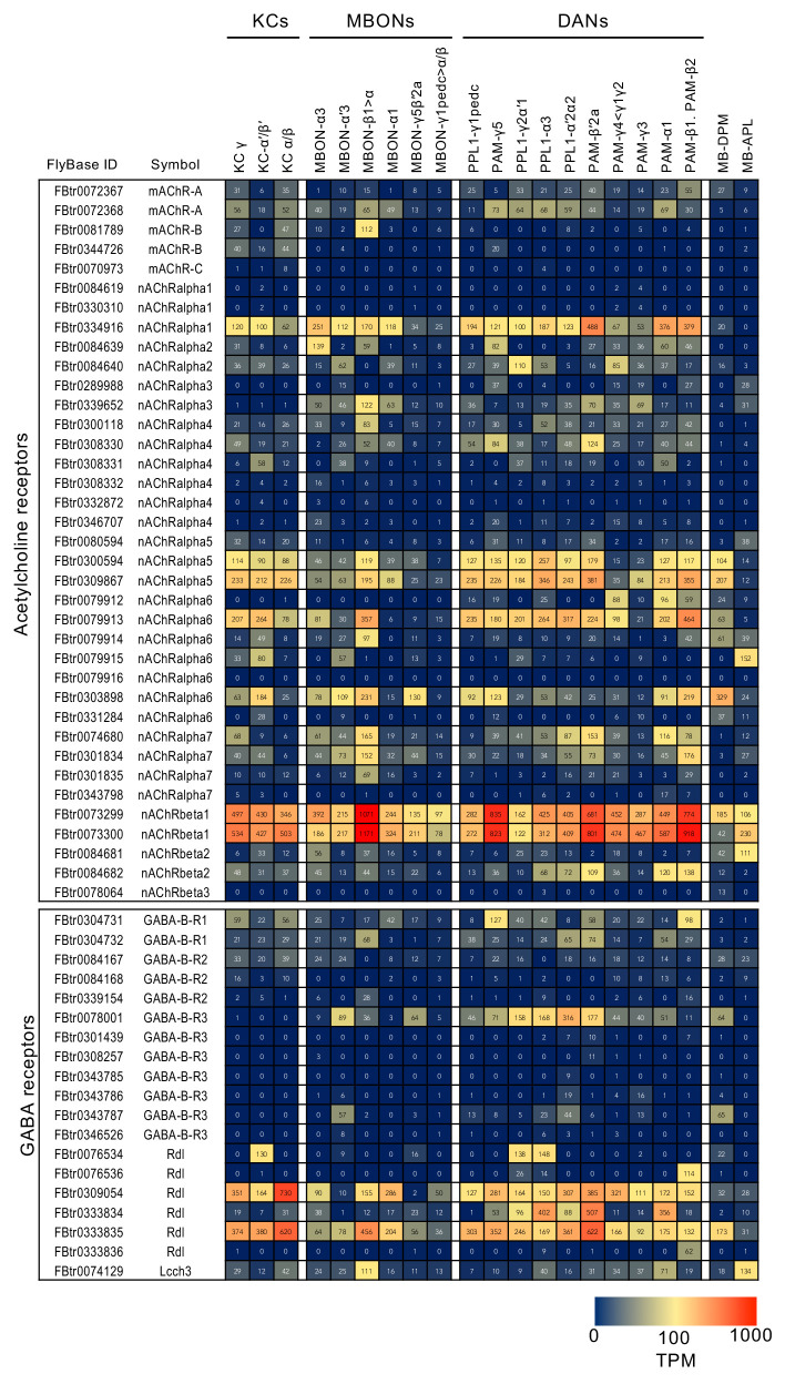 Figure 3—figure supplement 3.