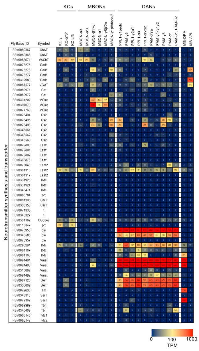 Figure 3—figure supplement 2.