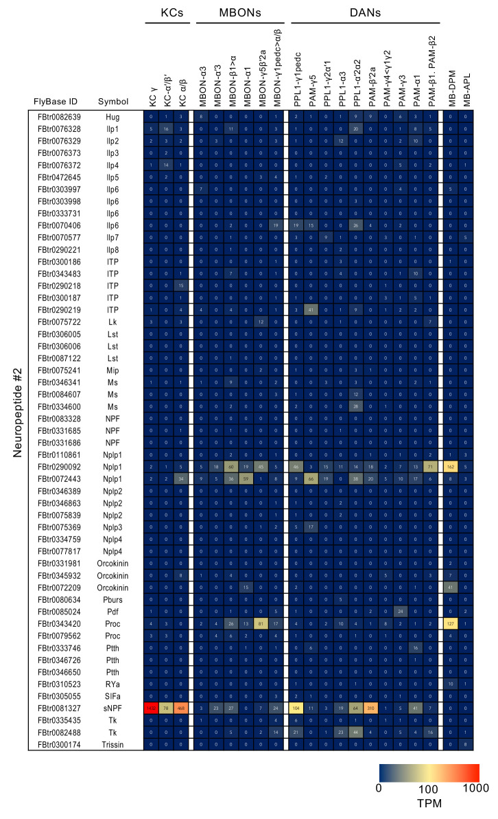 Figure 3—figure supplement 8.