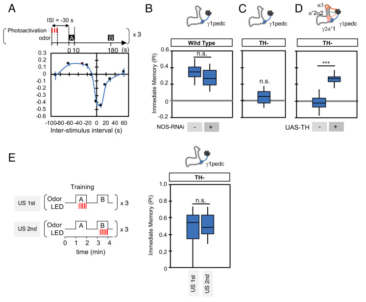 Figure 5—figure supplement 3.