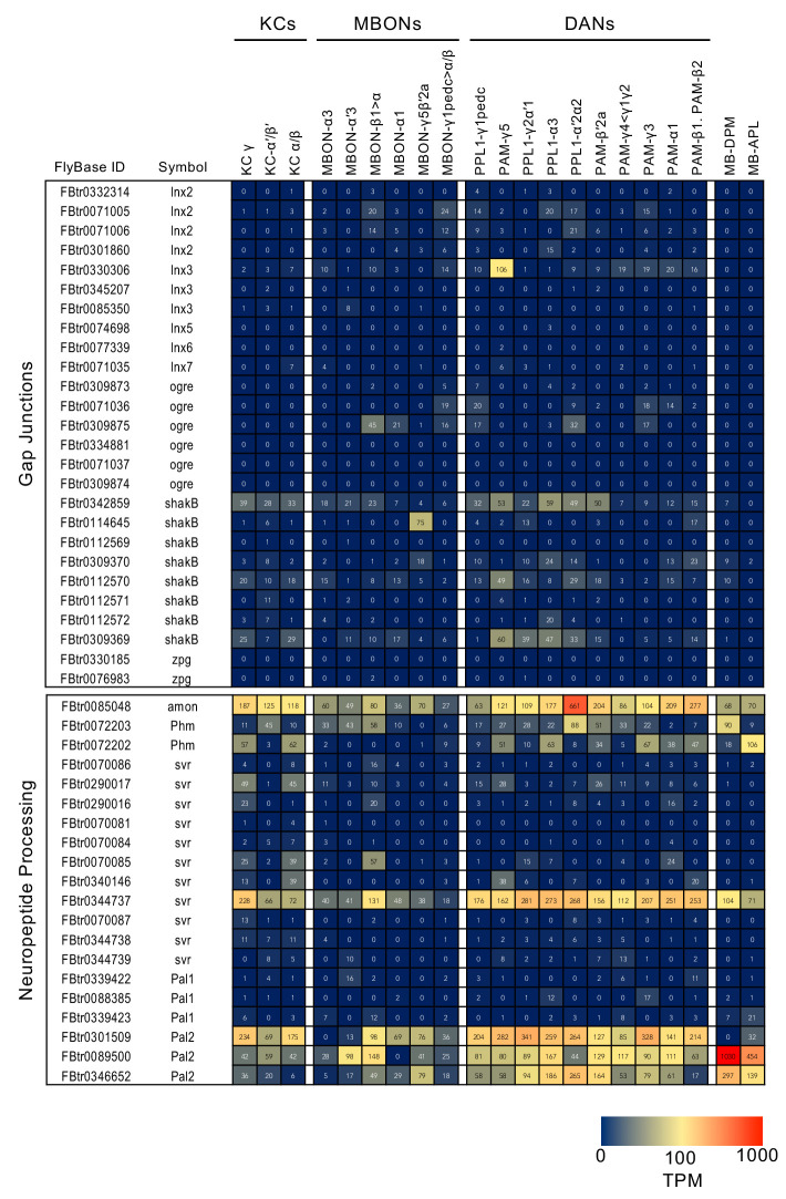 Figure 3—figure supplement 6.