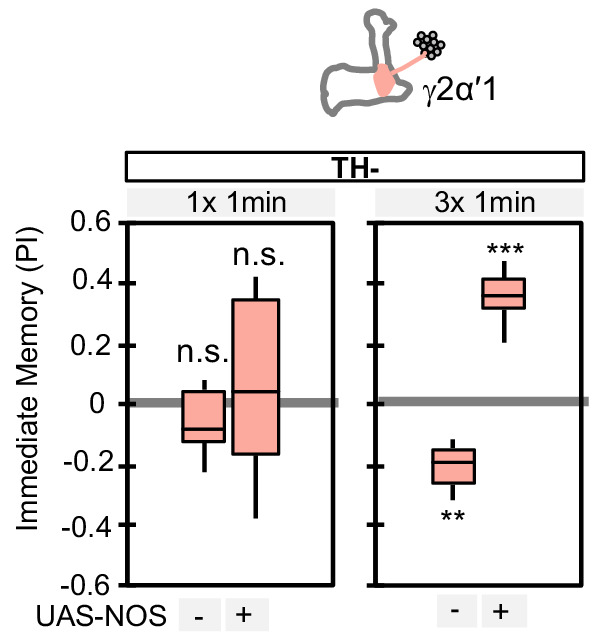 Figure 4—figure supplement 1.