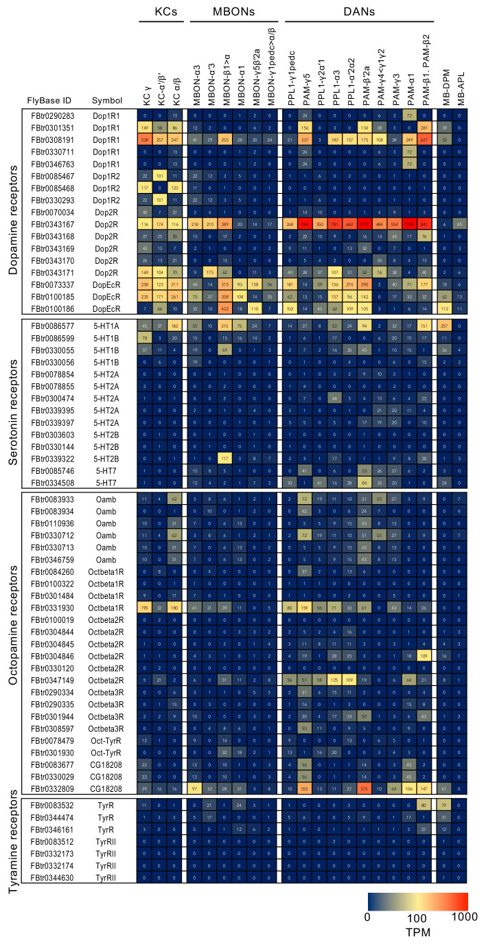 Figure 3—figure supplement 5.