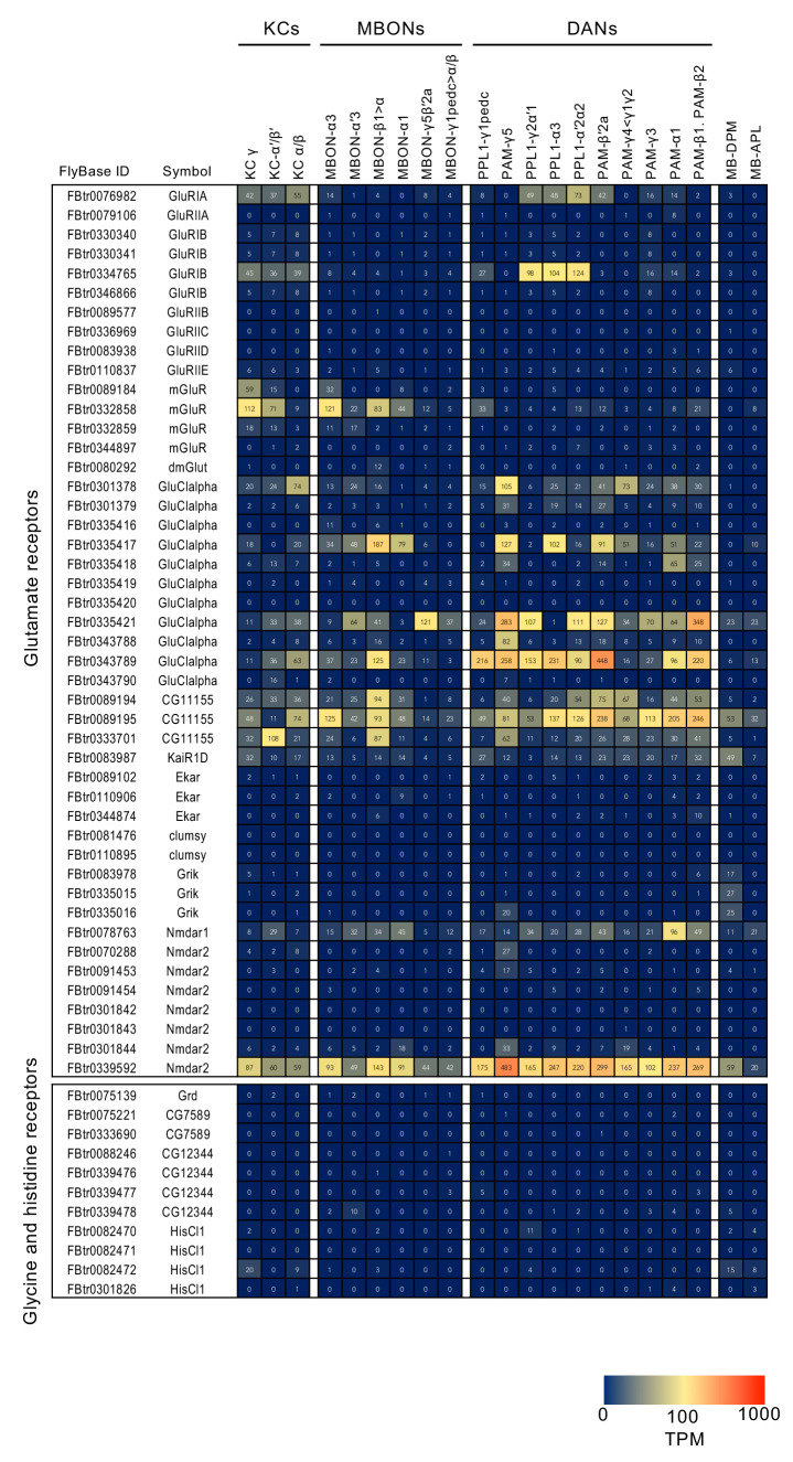 Figure 3—figure supplement 4.