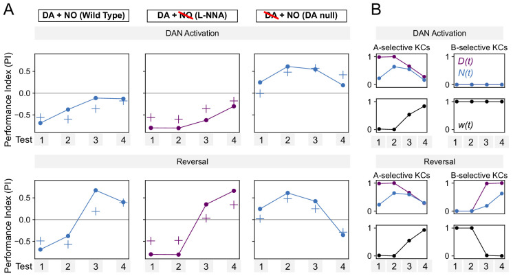 Figure 8—figure supplement 2.