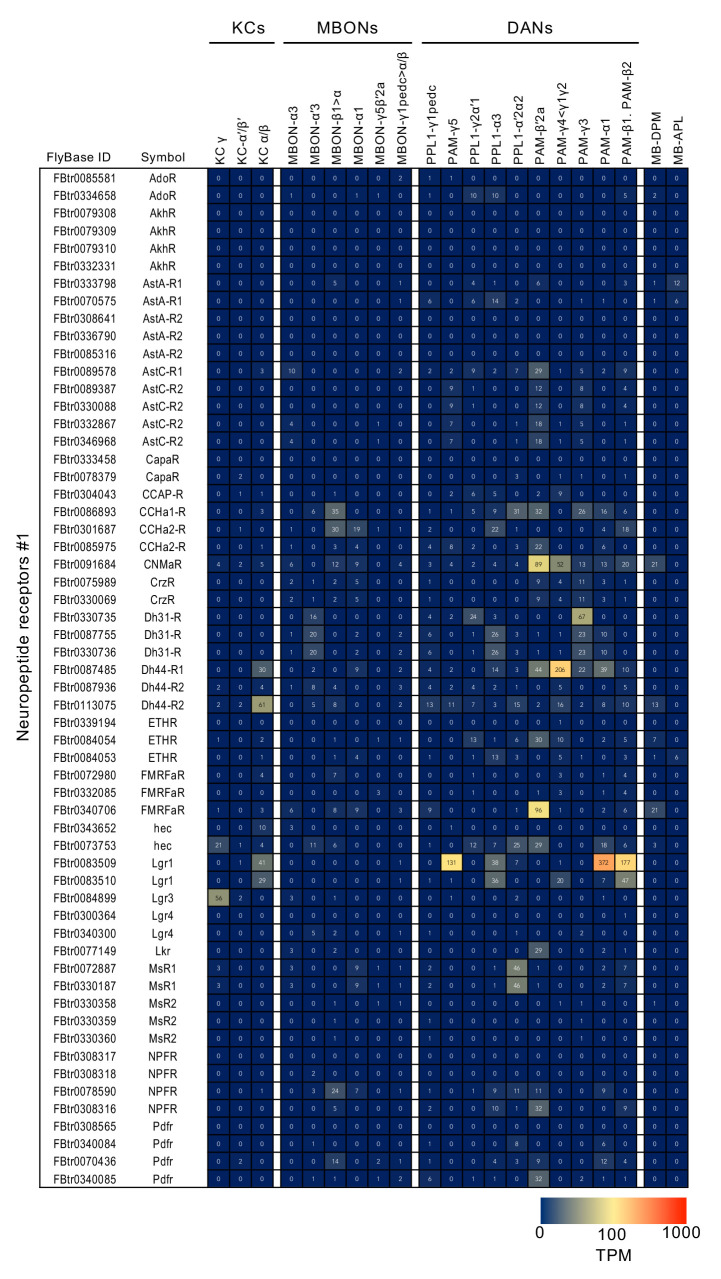 Figure 3—figure supplement 9.