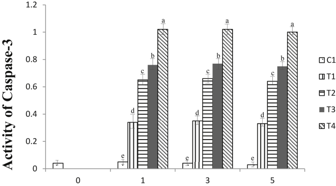 Figure 3