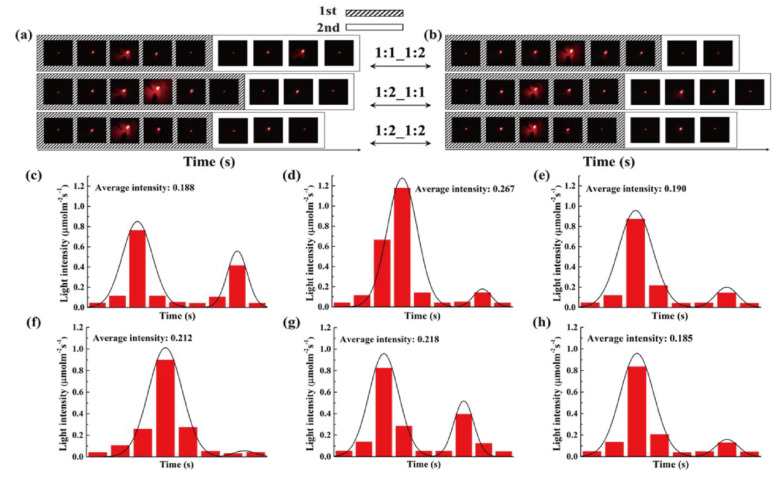 Figure 12