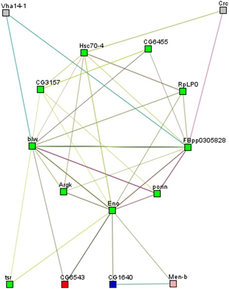 Fig. 3