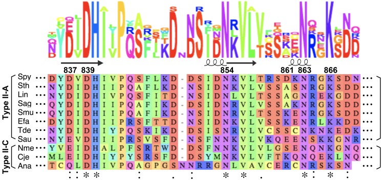 Figure 2—figure supplement 2.