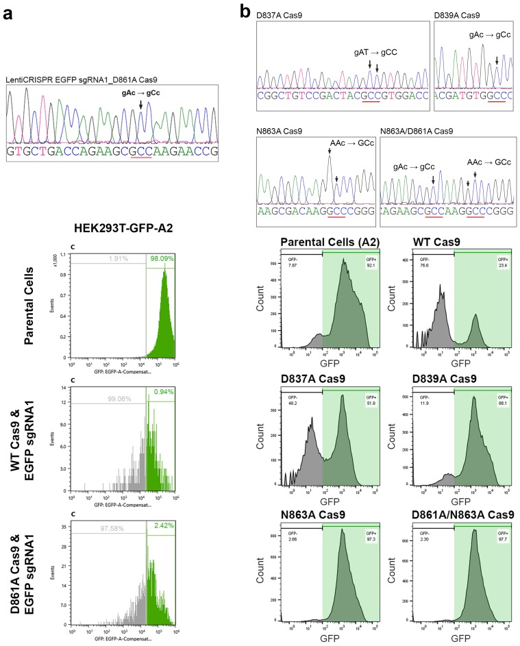 Figure 1—figure supplement 1.