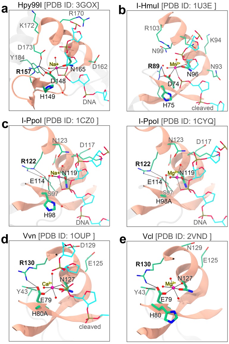 Figure 2—figure supplement 1.